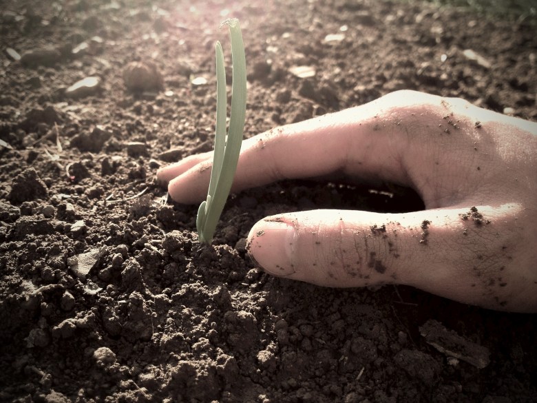 How to Grow up Spiritually