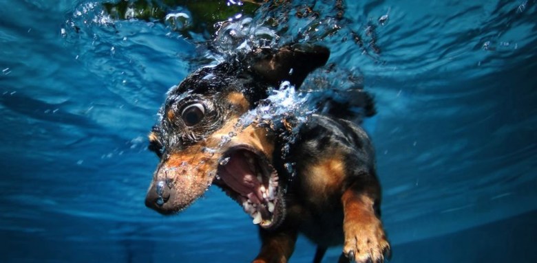 The True Fear of the Lord