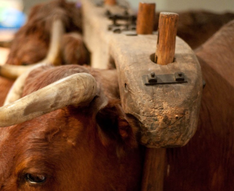 Does God Give Us More than We Can&nbsp;Bear?