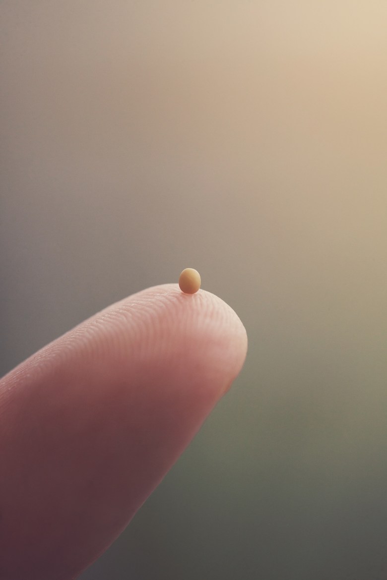What Does It Mean to Have a Mustard Seed of&nbsp;Faith?