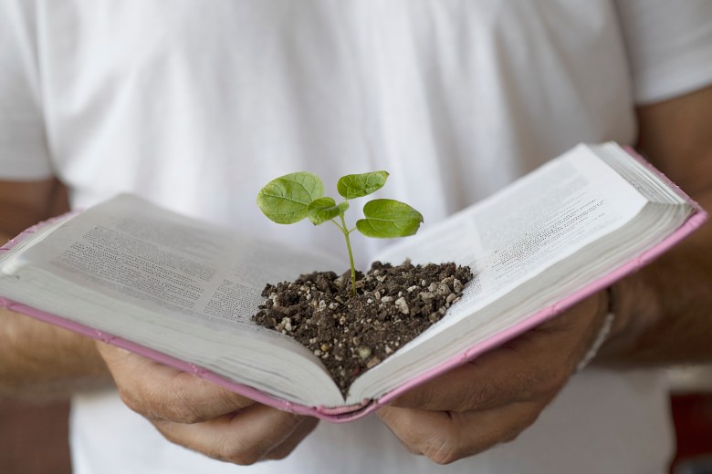 What Does Charismata&nbsp;Mean?