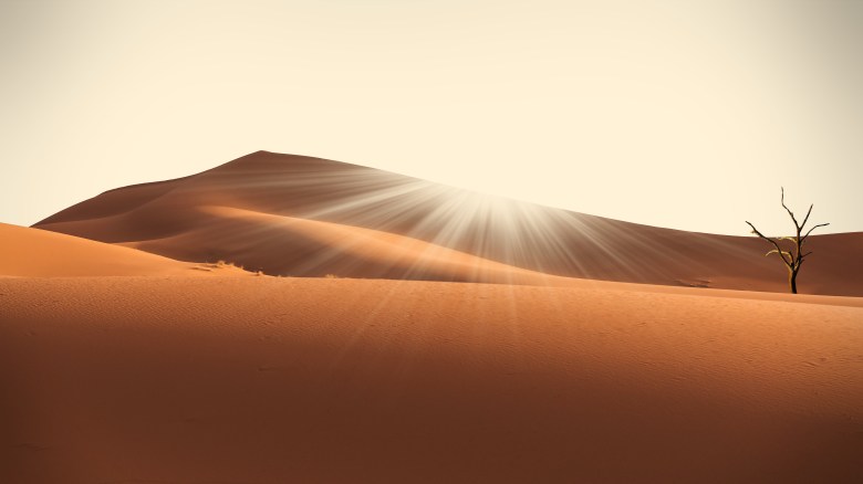 What Does the Story of the Bronze Serpent Mean in the&nbsp;Bible?